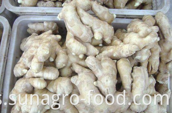 High Quality Dried Ginger